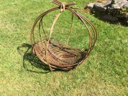 Garden willow